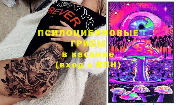 амф Богданович
